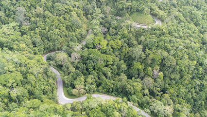 A winding road through the dense forest of Sumba, the main road connecting the regencies on Sumba Island