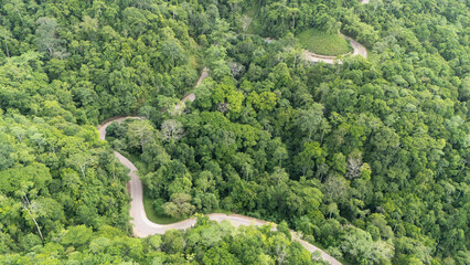 A winding road through the dense forest of Sumba, the main road connecting the regencies on Sumba Island
