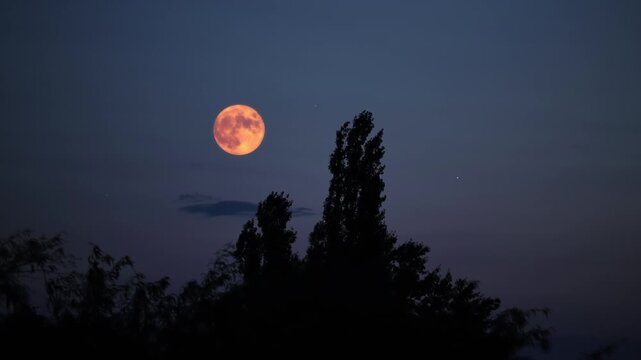 Full Moon with stars, planets and rural countryside tree silhouettes. Time-lapse video.	
