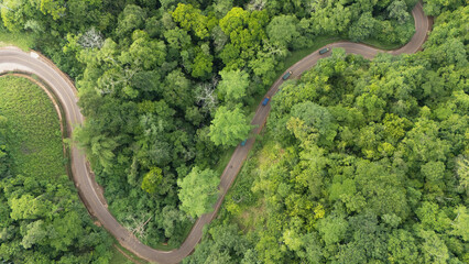 A winding road through the dense forest of Sumba, the main road connecting the regencies on Sumba Island