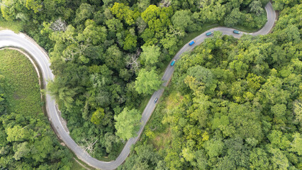 Drone capture of an asphalt road connecting the regencies in Sumba; this road is inside a dense forest with large trees