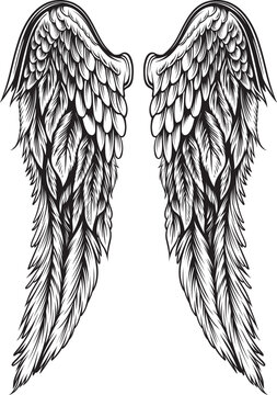Wings Illustration in tattoo style