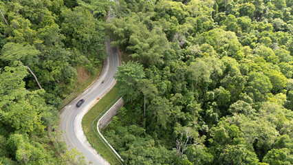 A winding road through the dense forest of Sumba, the main road connecting the regencies on Sumba Island