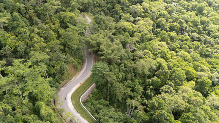 A winding road through the dense forest of Sumba, the main road connecting the regencies on Sumba Island