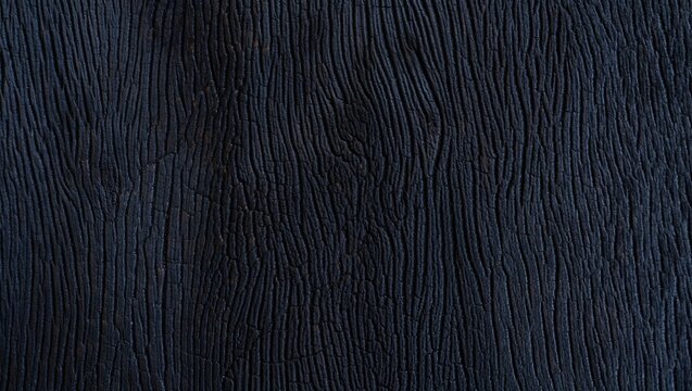 Burnt wood deep charred texture grain patterns detailed surface natural organic material dark rustic background close-up rough aged timber artistic design for photography, decor, texture studies, craf