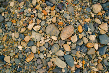 Pebble stone background. Sea Pebble. Beach stones. Natural background. Stone texture