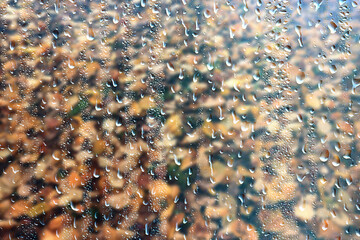 raindrops on the glass, against the background of autumn fallen leaves, seasonal wet backdrop