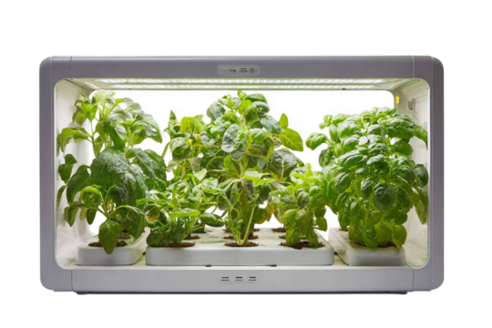 Innovative indoor hydroponic garden with app connectivity isolated on transparent background