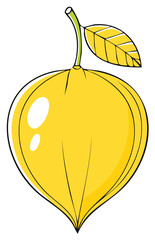 Stylized Illustration of a Yellow Peach with Leaf and Stem for Graphic Design Projects