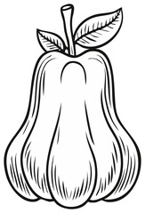 Rose apple outline illustration with leaves and stem drawn with thick black lines for coloring books