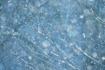 snowfall background, abstract backdrop against blurred winter trees