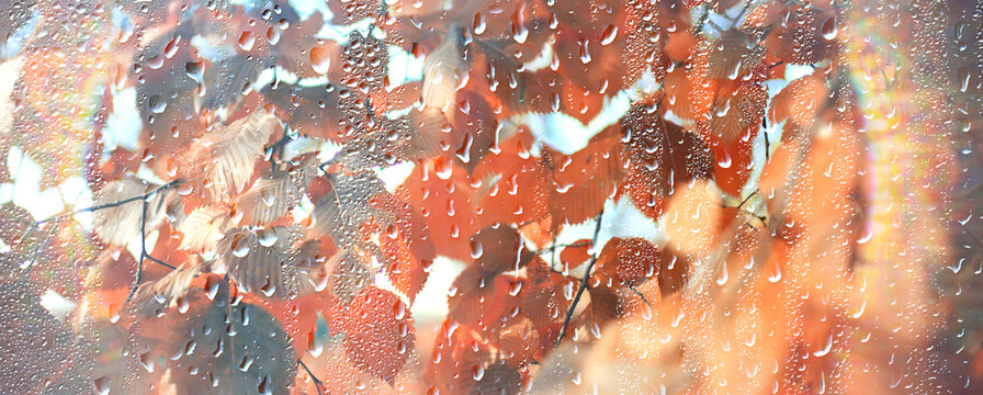 Raindrops on window glass background sun rays after rain, horizontal long design - Powered by Adobe