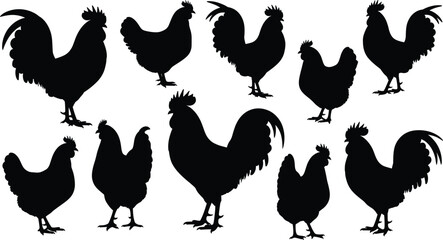 Chicken silhouette collection, rooster and hen shapes, poultry vector set, farm animal icons, black bird outlines, livestock illustration bundle