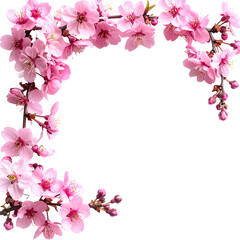 Blossom Corner: Delicate pink cherry blossoms gracefully cascade, framing a serene corner, radiating the beauty of spring and delicate of nature's beauty.