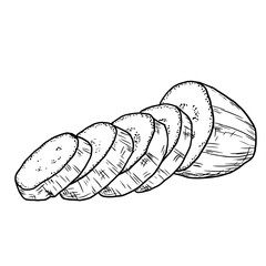 Zucchini, sliced, black and white sketch. Vector illustration. Farm healthy vegetables isolated on white background. For cards, menus, cookbooks, recipes and harvest shows.