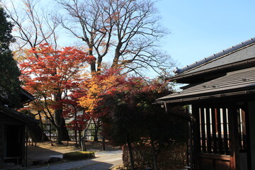 福島県飯坂温泉　旧堀切邸の秋風景