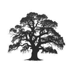 Fototapeta premium Silhouette of a majestic tree isolated on, symbolizing nature, growth, resilience, and the enduring beauty of the natural world
