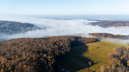 Aerial Drone View of an Autumn Forest in Austria with a Road. Misty morning fog above dense wild trees, colorful fall foliage and a winding highway captured from above for dramatic scenery
