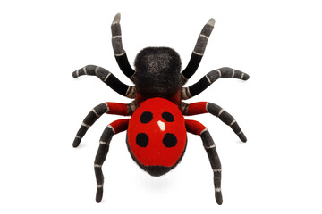 Plush toy spider with a vibrant red body featuring black spots, resembling a ladybug, creating a playful hybrid insect