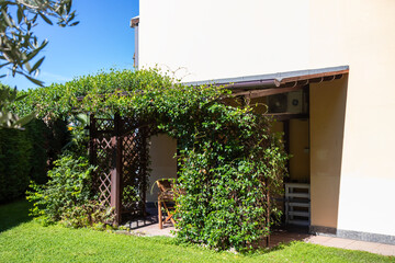 Sunny outdoor patio in Italy with a wooden pergola covered in climbing plants. Relaxing Mediterranean atmosphere with natural shade and cozy garden details