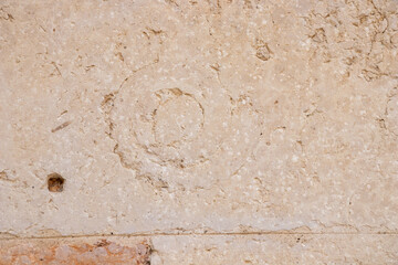 Close-up of textured limestone with a rough, weathered surface, showing pits, veins, cracks, and a circular fossil-like inclusion. Natural stone detail and geology pattern
