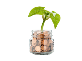 tree planted in the coin jar, money plant tree, symbol of saving money