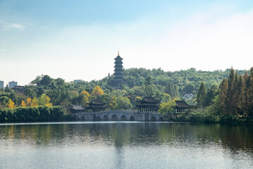 Chongqing Expo Garden landscape in autumn