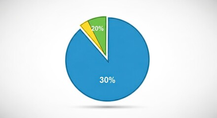 Colorful pie chart showing allocation of resources percentages share