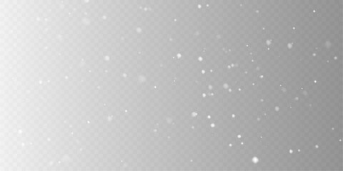 Christmas Snowfall Overlay with Magical Winter Snowflakes.