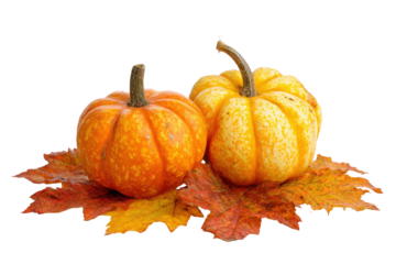 Two orange pumpkins with autumn leaves on transparent background
