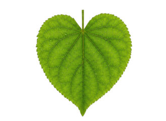 A vibrant green leaf shaped like a heart with tiny sparkling particles scattered across its surface isolated on a black background