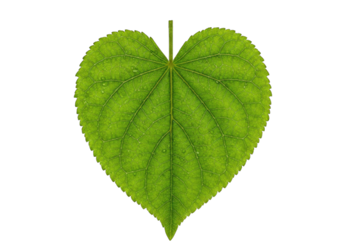 A vibrant green leaf shaped like a heart with tiny sparkling particles scattered across its surface isolated on a black background