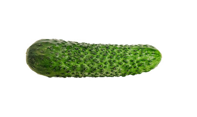 Red round tomato on a white background. Isolate