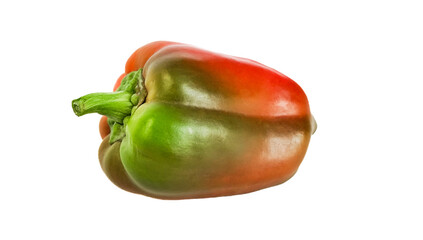 Multicolored bell peppers isolated on white background, no shadow