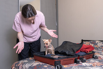 Small Yorkshire Terrier dog sitting inside open suitcase on bed as woman reacts with surprise, humorous pet life, travel preparation disruption, or comedy of animal interference themes © Galina