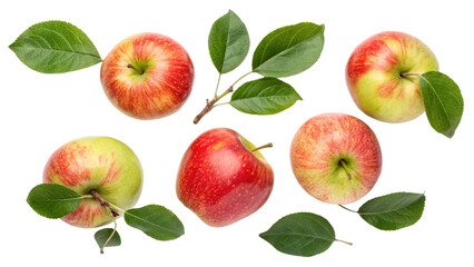 set of Freshly picked apples with leaves isolated on transparent background