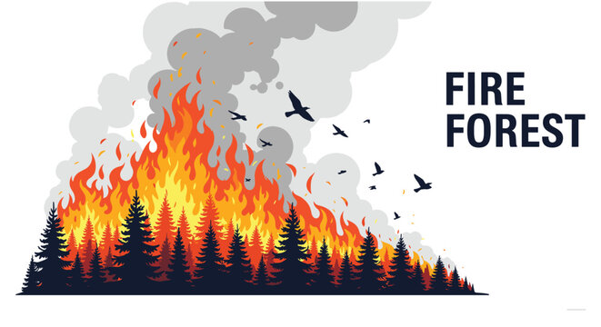 Dramatic vector illustration of a raging forest fire with large flames and smoke consuming a pine forest as birds fly away.