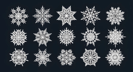 Elegant Vector Snowflake Collection A Comprehensive Set of Unique Winter Crystals for Festive Season Graphics, Holiday Decor, and Seasonal Design Projects