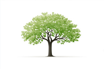 Obraz premium 緑の葉が茂る木のイラスト（白背景）