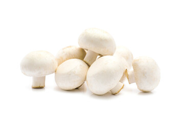 Champignon mushroom isolated on white background