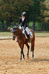 Fototapeta premium Equestrian sport, horse and rider in dressage competition, woman riding horse in outdoor arena, training and performance, equine event, sunny day, natural light, action shot.