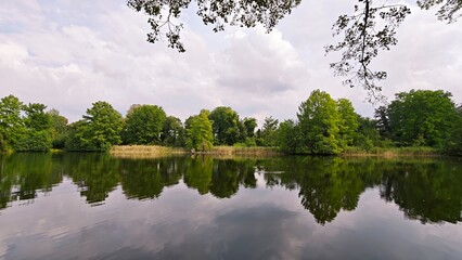 reflection of trees in water