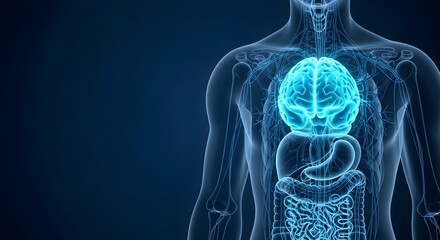 Mind-body connection illustration, Human Anatomy Visualization Brain, Organs and System X-Ray Style