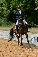 Fototapeta premium Equestrian sport, horse and rider in dressage competition, woman riding horse in outdoor arena, training and performance, equine event, sunny day, natural light, action shot.