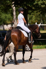 Obraz premium Young woman riding a brown horse outdoors, equestrian sport, horse riding lesson, smiling rider, sunny day, horse and rider in nature, outdoor activity.
