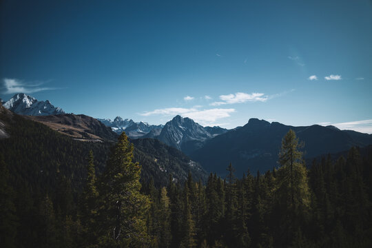 View of jagged, snow-capped peaks rising above a sea of evergreen trees under a clear blue sky, Dolomites, Veneto, Italy. - Powered by Adobe