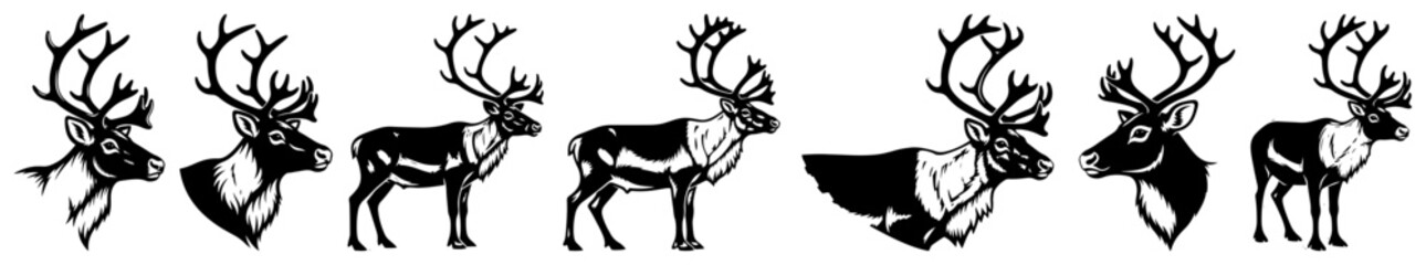 Obraz premium Collection Of Wild Deer And Reindeer Buck Silhouettes With Antlers Vector Illustration