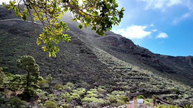 Panoramic view of of the hills near the town of Chio on Tenerife Island, Canary Islands, Spain.