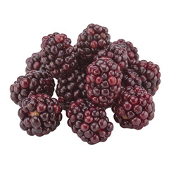 Pile of Fresh Ripe Blackberries Isolated