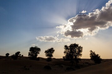 View of sun rays bursting through clouds over silhouetted trees on rolling desert dunes, creating a serene yet dramatic landscape, Dubai, Sharjah, United Arab Emirates.